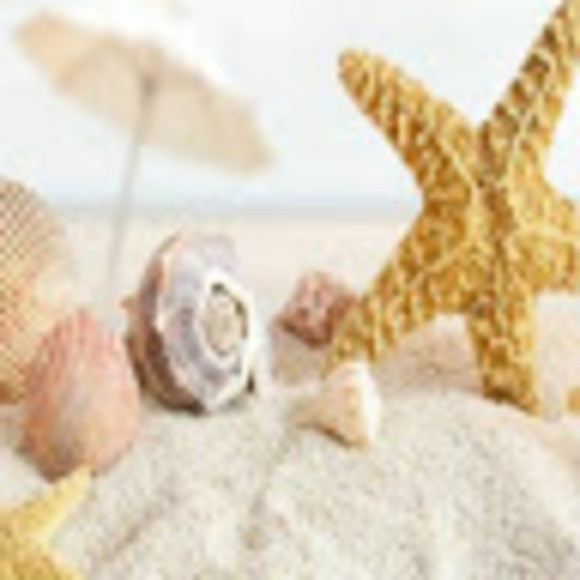 Meet your Posher, Michelle - Picture 1 of 1